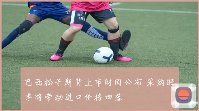 巴西松子新货上市时间公布 采购旺季将带动进口价格回落