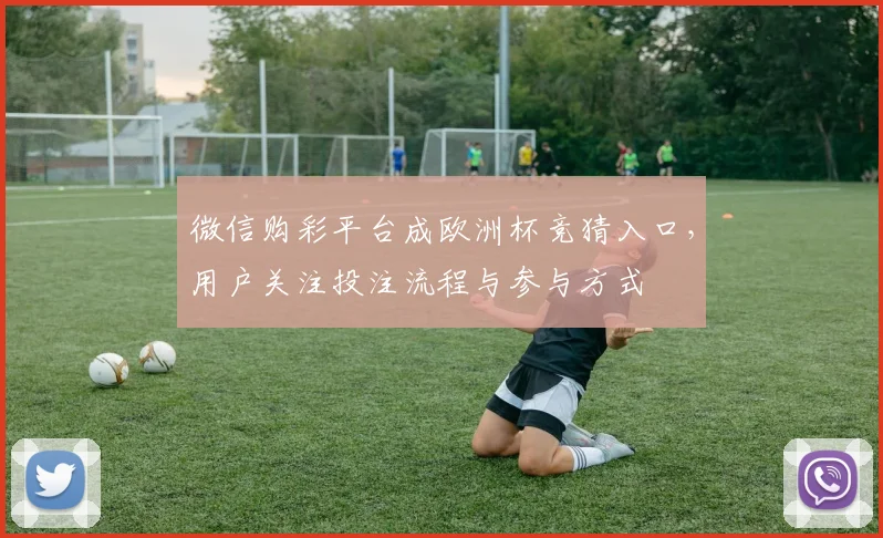 微信购彩平台成欧洲杯竞猜入口，用户关注投注流程与参与方式