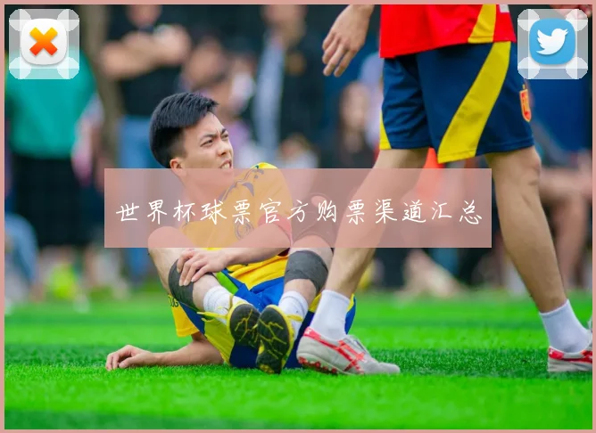 世界杯球票官方购票渠道汇总
